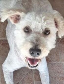 JULY wurde vernachlässigt - Gefrees