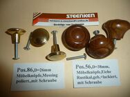 MöbelKnöpfe Eiche Rustikal geb.+lackiert,d=38mm,mit Schraube+Messing poliert,mit Schraube,d=26mm,neu - Ritterhude