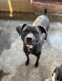 Mr. Mellow braucht Zeit um anzukommen - Chemnitz