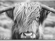Reinders! Wandbild Wandbild Highlander Bulle Tiermotiv - Nahaufnahme - Hochlandrind Bild, Kuh (1 St)