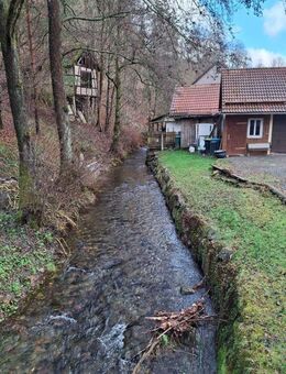 Einfamilienhaus für Macher in Schleusegrund ACHTUNG PREISSENKUNG! - Schleusegrund