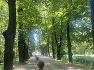 Sie lieben das Ausgefallene? - Bergheim (Nordrhein-Westfalen)