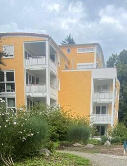 Helle 2-Zimmerwohnung Stadtmitte Bad Säckingen - Ruhige Lage im Grünen - Bad Säckingen