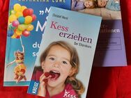 Wichtige Ratgeber für die Kindererziehung - 3 Taschenbücher zu unterschiedlichen Themen - Niederfischbach
