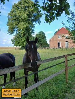 "Bauernhof in traumhafter Alleinlage - Natur pur vor den Toren Schwerins" - Leezen (Mecklenburg-Vorpommern)