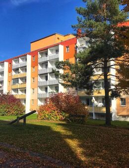 1 Monat kaltmietfrei: Schöne 3-R-Wohnung im Erdgeschoss - Aue