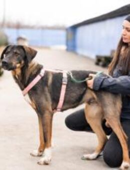 Happy End für Dusza gesucht - München