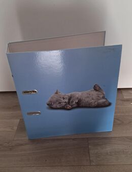 Ordner mit Katzenbabymotiv - Bautzen