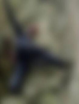 Nic*** - Siegen (Universitätsstadt)