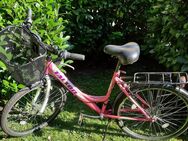 Fahrrad 26 Zoll - Pinneberg