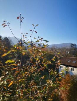 50 % Verkauft * KFW 40 förderfähig *Doppelhaushälfte in sonniger Aussichtslage* am 8. Nov. Besichtigung vor Ort ! - Neuffen