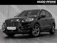 Ford Kuga, ST-Line X WI-PKT, Jahr 2023 - Bad Segeberg