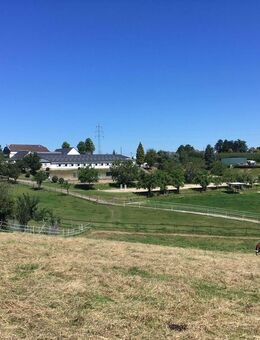 Reitanlage auf 11,5 ha zu verkaufen - Burscheid