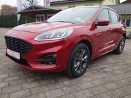 Ford Kuga Plug-In Hybrid ST-Line - Sigmarszell