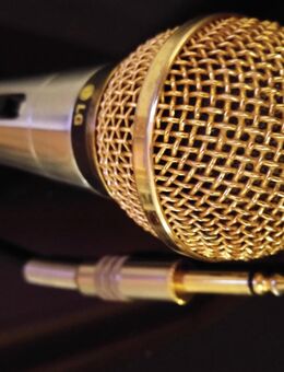 Mikrofon LG Gesang Karaoke Gold Kabel Jack 6,3mm Qualität Original - Lenting