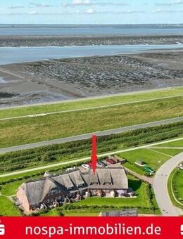 Direkt hinter dem Naturerbe Wattenmeer - landschaftstypisches Reihenmittelhaus unter Reet! - Nordstrand
