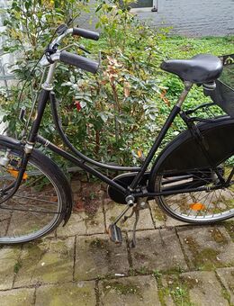 Hollandrad Gazelle zu verkaufen - Düsseldorf