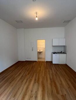 1-Zi.-Appartement mit Pantryküche * ruhige Lage im Innenhof * Gemeinschaftsgarten - Freiberg