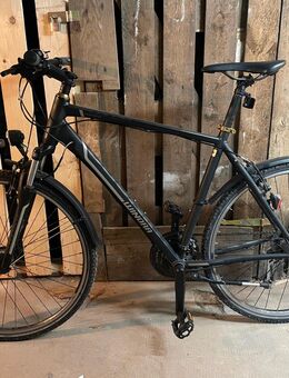 Winora Trekkingbike - Berlin