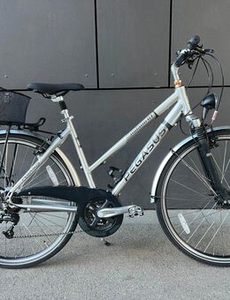 Damen Fahrrad - München