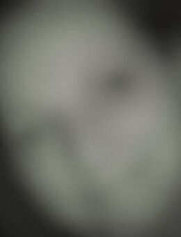 Kam*** - Naumburg (Saale)