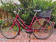 Wie neu! 28er GAZELLE Damen Hollandrad Cityrad 5 Gang Schaltung mit Rücktritt TOP! - München