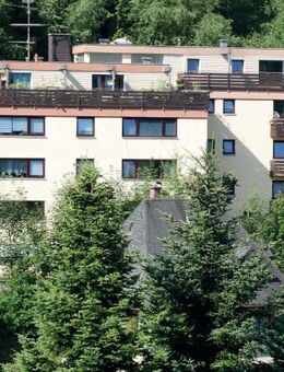 Gemütliche 2-Zimmer-Wohnung mit Bergblick in ruhiger Lage - Schonach (Schwarzwald)