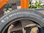 Michelin Sommerreifen - Wittingen