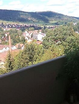 *Ruhige, gepflegte Wohnung* - Rohrdorf (Baden-Württemberg)