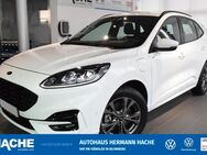 Ford Kuga, 2.5 ST-Line Duratec Plug-in-Hybrid, Jahr 2020 - Blomberg (Nordrhein-Westfalen)