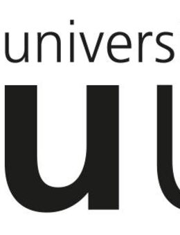 Informatiker/in als Teamleitung Medientechnik (m/w/d) - Ulm