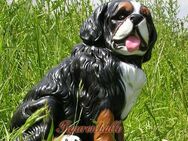 Berner Sennenhund Figur Statue Aufstellfigur Dekoration Hunde Fan - Enger (Widukindstadt)