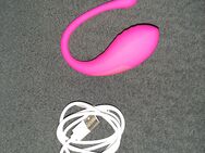 Bluetooth Vibrator gebraucht - Dietmannsried