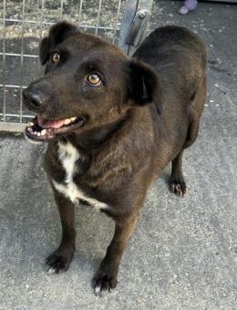 BERILL - MAG ES RUHIG - Nörten-Hardenberg