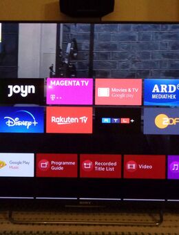 3D Sony Bravia 50 Zoll Smart-TV (HbbTV) - Oranienburg