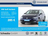 VW Golf Variant, 1.5 TSI Move, Jahr 2023 - Gersthofen