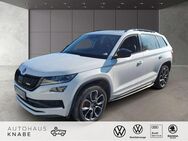 Skoda Kodiaq, Bi-TDI, Jahr 2020 - Kierspe