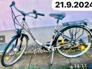 Damenfahrrad 28“ Peugeot 7005 Aluminium - Albbruck