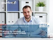 Analyst für Verkaufs- und Logistikstrategien (m/w/d) - Ludwigsfelde