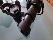 Canon EOS80D wie neu - Aachen