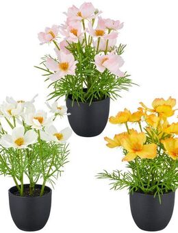 Kunstpflanze Cosmea, Creativ green, Höhe 22 cm, mit farbenfrohen Blüten