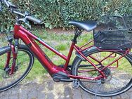 Pegasus Solero E Bike 28 - Bergisch Gladbach