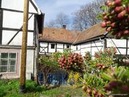 Raum für ein neues, denkmalgeschütztes Zuhause auf großzügigem Grundstück in ländlicher Lage - Klipphausen
