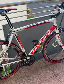 Rennrad Olympia Race Campagnolo - Künzell