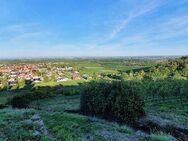 VERKAUFT ! Grundstück am Schwabenbach, in allerbester Wohnlage mit Südausrichtung - Wachenheim (Weinstraße)