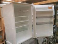 Kühlschrank, Einbaukühlschrank - Cremlingen