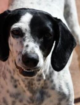 Betty hofft auf eine Familie - Neuss