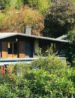 Charmantes Chalet in mitten der Natur - Allendorf (Eder)