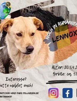 LENNOX - Kuscheln ist überlebenswichtig - Waakirchen