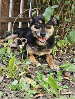Vera- bald auf PS in Nürnberg - Nürnberg